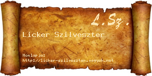 Licker Szilveszter névjegykártya